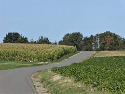 hesbaye